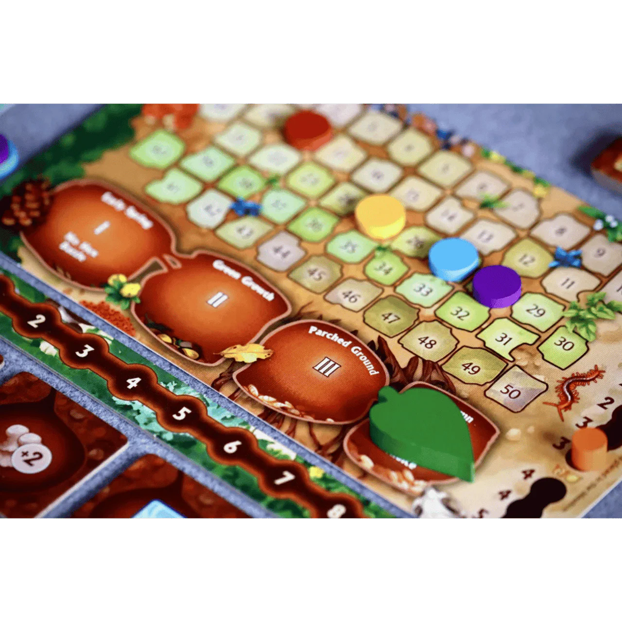 Thumbnail 5